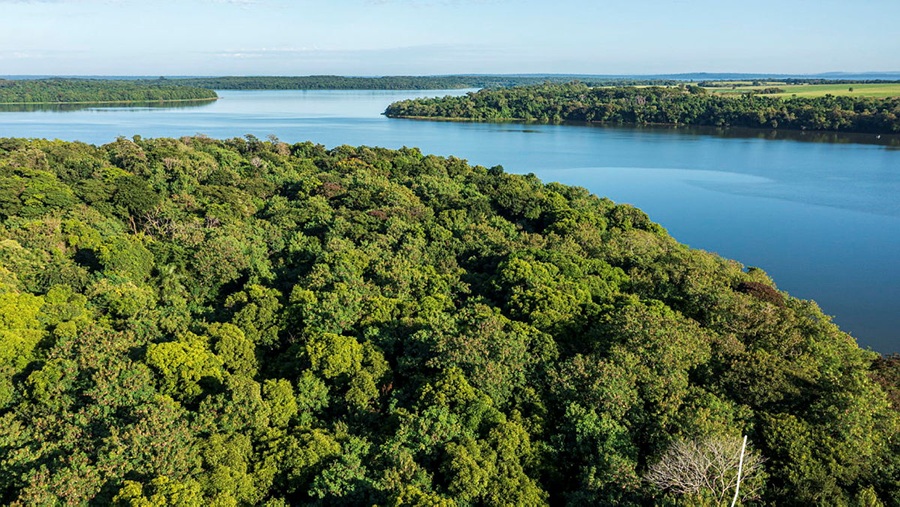 Ir para  <p><strong><em>Invent&aacute;rio florestal in&eacute;dito aponta aumento e diversifica&ccedil;&atilde;o de esp&eacute;cies de plantas no entorno do Lago de Itaipu e &aacute;reas vizinhas desde a sua...